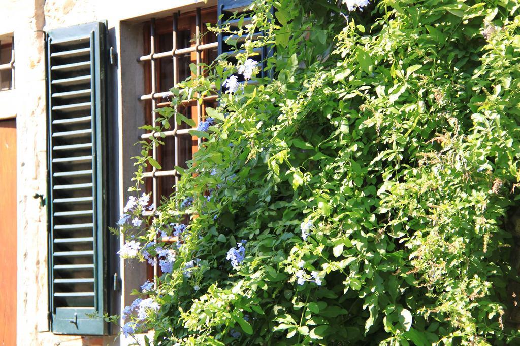 Bed and Breakfast Antica Casa "Le Rondini" Borgo a Buggiano Exteriér fotografie