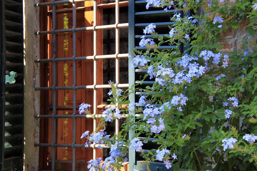 Bed and Breakfast Antica Casa "Le Rondini" Borgo a Buggiano Exteriér fotografie